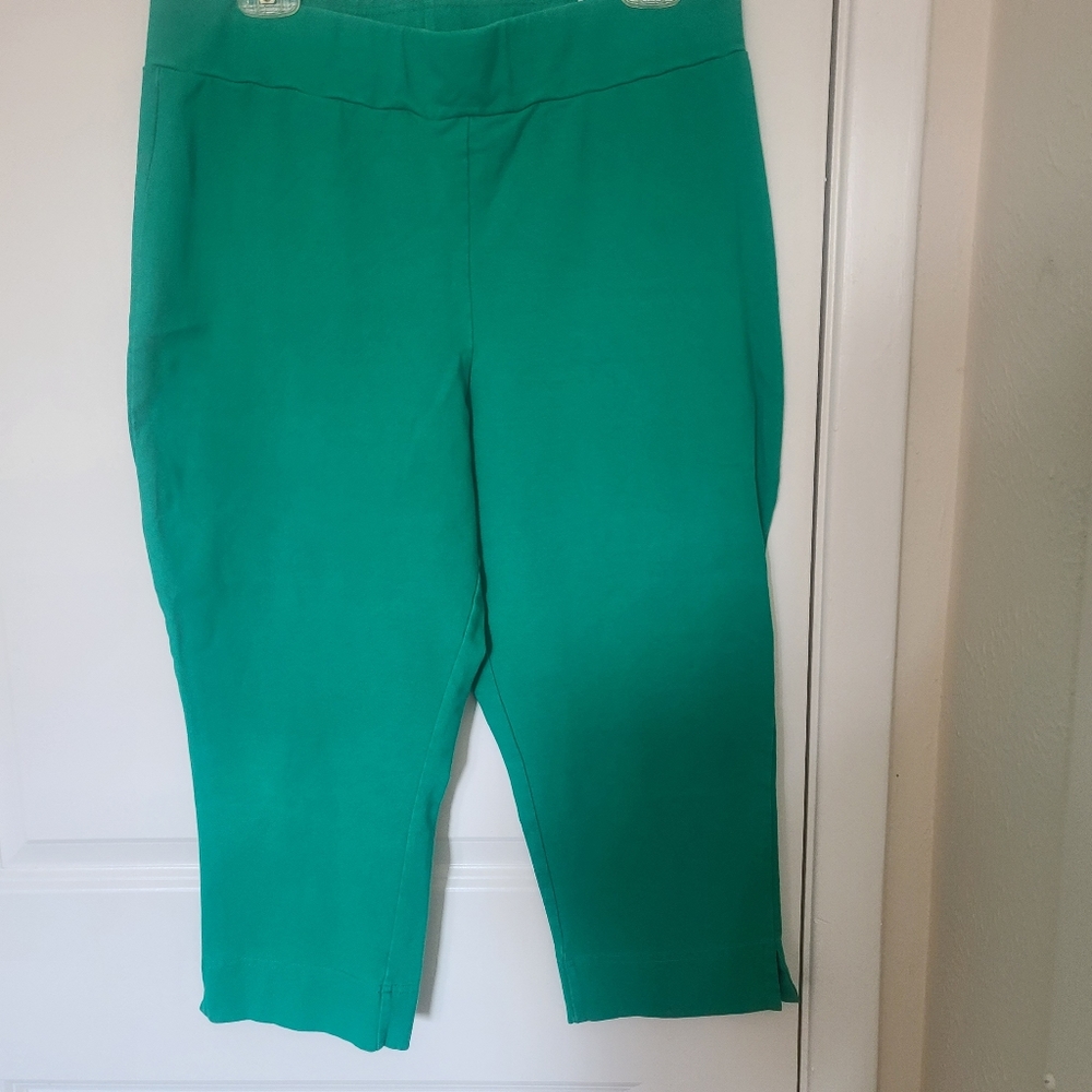 Set of 2 Women With Control Stretchy Capris.